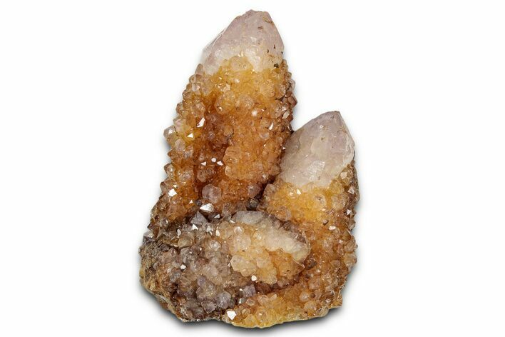 Sunshine Cactus Quartz/Amethyst Crystal Cluster - South Africa #337655